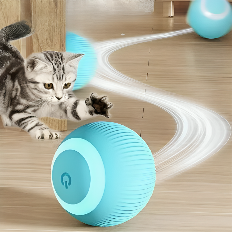 KittyRoll™ | Selbstbewegliches intelligentes Ballspielzeug für Katzen, wiederaufladbar und lustig (1+1 GRATIS)